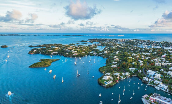 Appleby-Website-Bermuda1